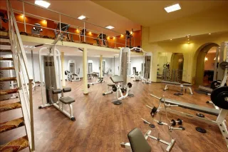 ACROTEL ATHENA PALLAS Activities
