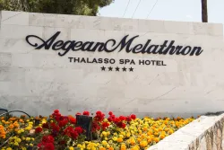 AEGEAN MELATHRON THALASSO SPA HOTEL General Images