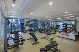 ALBA QUEEN HOTEL Activities