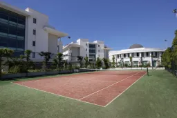 ALBA QUEEN HOTEL Activities