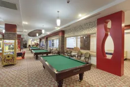 ALBA QUEEN HOTEL Activities