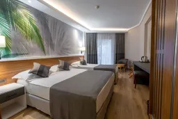 ALBA RESORT HOTEL Rooms
