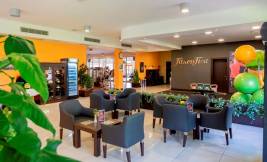 ALI BEY CLUB Activities