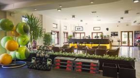 ALI BEY CLUB Activities