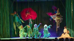ALI BEY CLUB Activities