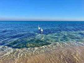ARKUTINO FAMILY RESORT Pools & Beach
