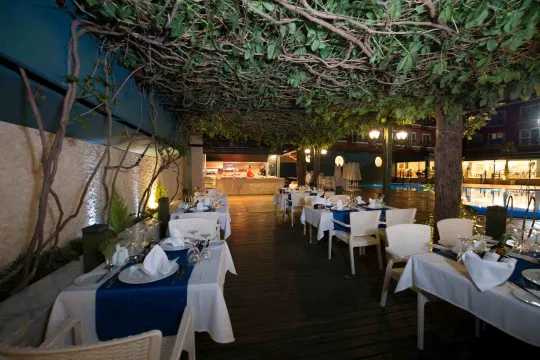 ASDEM PARK HOTEL Restaurants