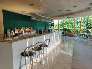 ATLAS HOTEL Bars