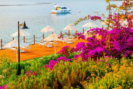 BAIA BODRUM Pools & Beach