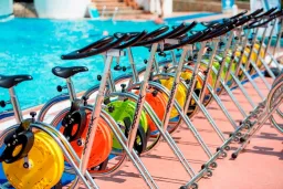 BAIA SALIMA KEMER Activities