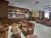 BALNEO SPA HOTEL SVETI SPAS Bars