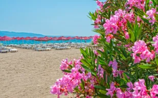 BENDIS BEACH Pools & Beach