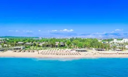 BERRY BLUE HOTEL Pools & Beach