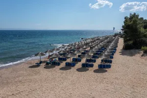 BLUE DOLPHIN HOTEL Pools & Beach