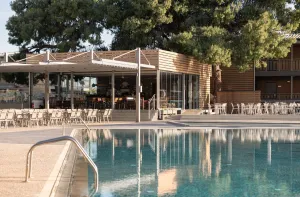 BLUE DOLPHIN HOTEL Pools & Beach