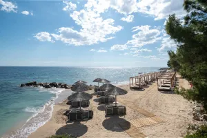 BLUE DOLPHIN HOTEL Pools & Beach