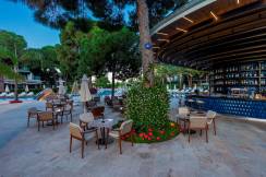 CALISTA LUXURY RESORT Bars