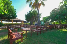 CLOVER MAGIC PARK BEACH Bars