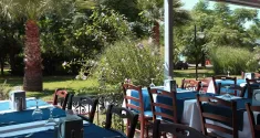 CLUB CACTUS PARADISE Restaurants