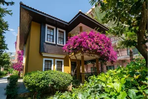 CLUB DIZALYA