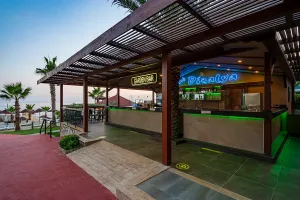 CLUB DIZALYA Bars