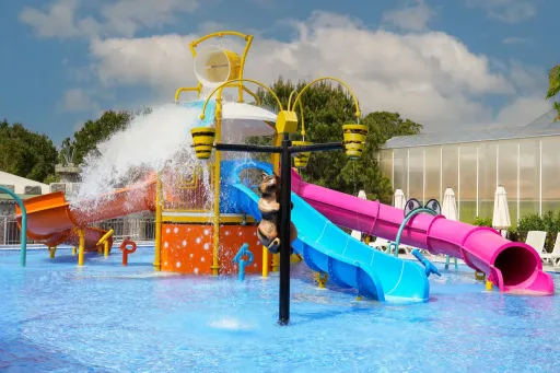 CLUB FELICIA VILLAGE Pools & Beach