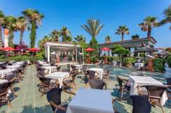 CLUB HOTEL SERA DELUXE Bars