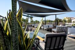 CLUB HOTEL TURAN PRINCE WORLD Bars