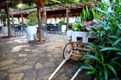 CLUB HOTEL TURAN PRINCE WORLD Bars