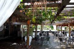 CLUB HOTEL TURAN PRINCE WORLD Bars