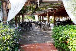 CLUB HOTEL TURAN PRINCE WORLD Bars