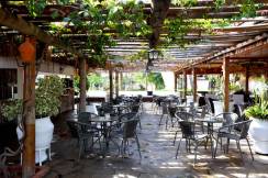 CLUB HOTEL TURAN PRINCE WORLD Bars
