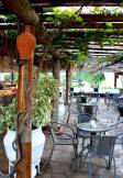 CLUB HOTEL TURAN PRINCE WORLD Bars