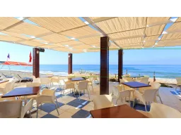 CLUB MERMAID Bars