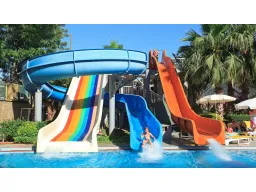 CLUB MERMAID Activities