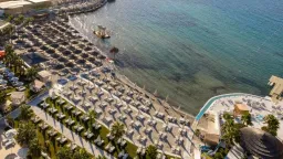 COCOS THE CLUB SOLTO General Images