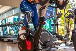 COMMODORE ELITE SUITE-SPA ADULT ONLY 18+ Activities