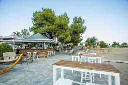 CORAL BLUE BEACH HOTEL Bars