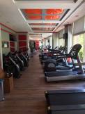 DELPHIN DIVA HOTEL Activities
