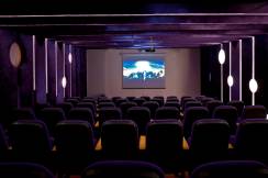 DELPHIN IMPERIAL Activities