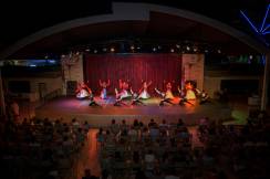 DELPHIN IMPERIAL Activities