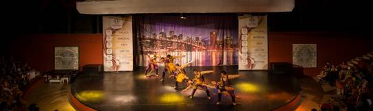 DELPHIN PALACE Activities