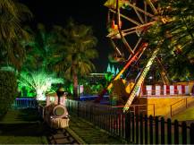 DELPHIN PALACE Activities