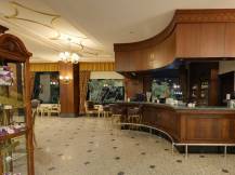 DELPHIN PALACE Bars