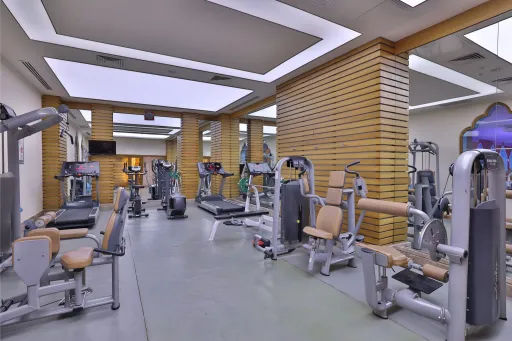 DIAMOND EXCELLENCE RESORT-SPA (ex.CRYSTAL PALACE) Activities