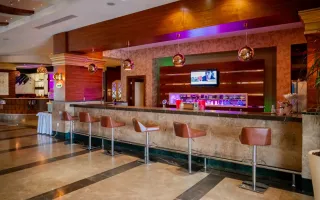 DIZALYA PALM GARDEN Bars