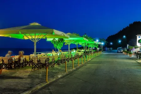 DOLPHIN BEACH HOTEL Bars