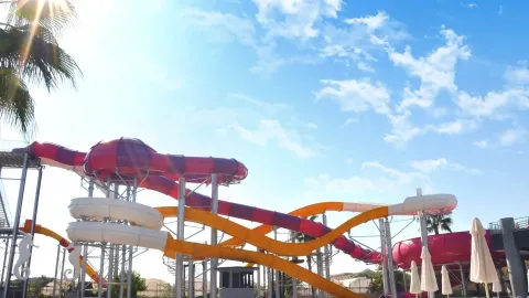 DREAM WORLD PALACE Activities