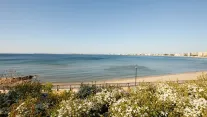 ALUA SUNNY BEACH RESORT-SPA Pools & Beach