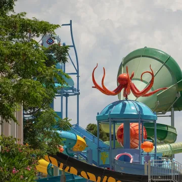 DUJA DIDIM Activities